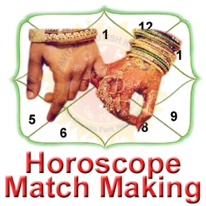 06 Horoscope Matching