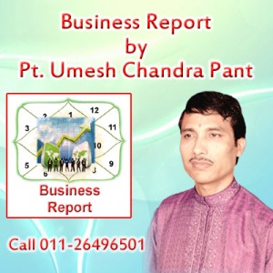 8-Business Report